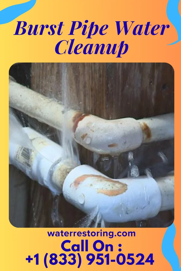 Burst Pipe Water Cleanup in Rogers, NE