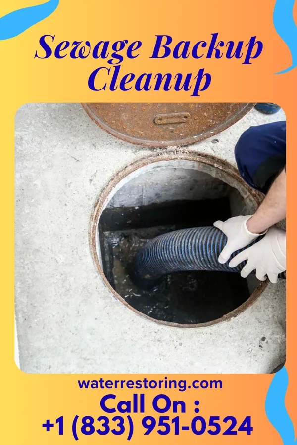 Sewage Backup Cleanup in Rogers, NE