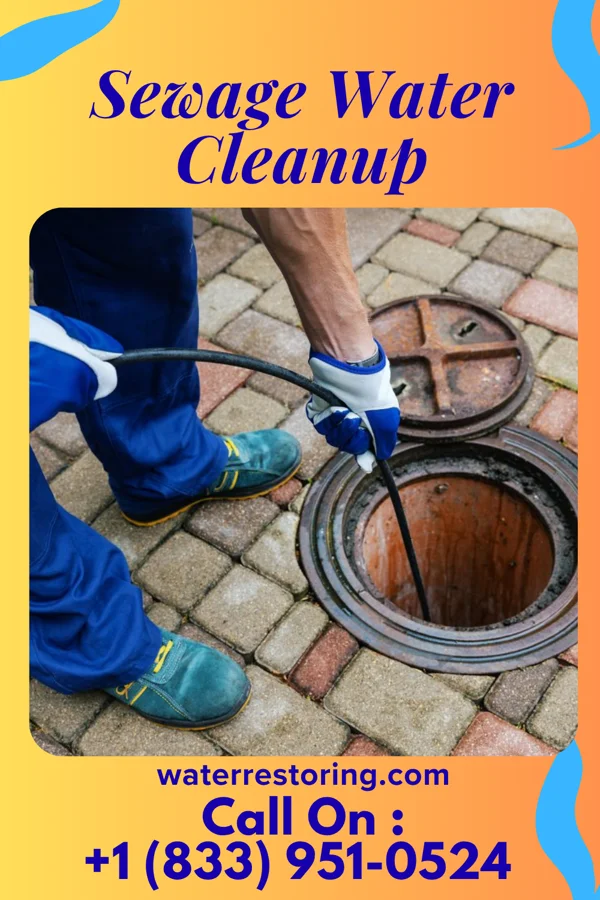 Sewage Water Cleanup in Rogers, NE