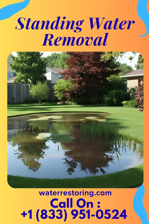 Standing Water Removal in Rogers, NE